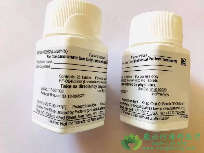 ��������(Lorbrena/Lorlatinib).jpg