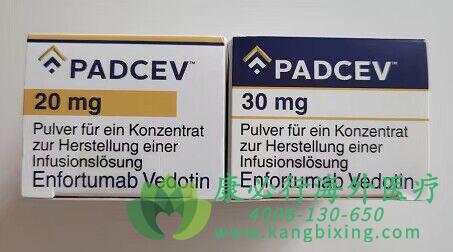 ά�����ȵ���(Padcev/Enfortumab).jpg