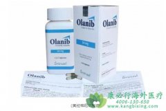 奥拉帕利/奥拉帕尼(Olaparib)中文说明书详