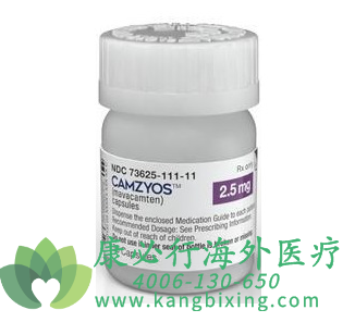 1780284657102531.png 玛伐凯泰CAMZYOS.png