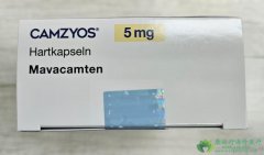 ������/�귥��̩(Camzyos/Mavacamten)��˹����Էʺ����ļ����������Ƶĳ��ڿհ�