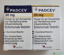 ��ŵ����/ά�����ȵ���(Padcev/Enfortumab)