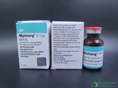 吉妥单抗/吉妥珠单抗(Mylotarg/Gemtuzumab)