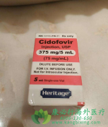 ���รΤ/������Τ(Cidofovir/Vistide)����