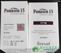 普纳替尼/帕纳替尼(ponatinib)的核心用药规