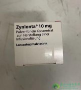 朗妥昔单抗(Zynlonta/Loncastuximab)为治疗