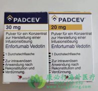 恩诺单抗(Enfortumab vedotin-ejfv)在治疗