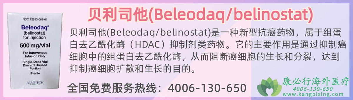 ����˾��(Beleodaq/belinostat).png