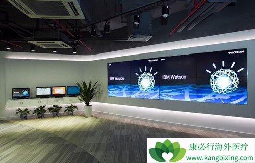 IBM Watsonڸɶ֪˹Ϣ⣡