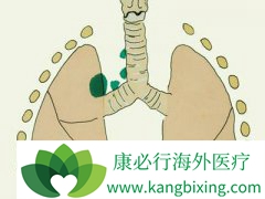 ���ڷΰ����ߵ���ʳ��Ҫ�����һЩ����