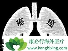 ���ַΰ���Ѫ֢״�ΰ������Ʒ�������