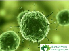 �˽����ڱ��ʰ�֢״���ⵢ�����ư�֢ʱ��