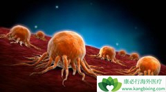 �������ٰ�֢״�Ͱ�֢���Ƶķ���