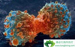 �ΰ�������ΰ����˵���ʳҪע����ʲô��