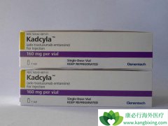 鵥-ҩż(ado-trastuzumab emtansine)ƺ