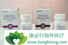 ��ɳ����(dasatinib)���ֶ������õ�Ӧ�Է���