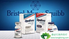 䵥NivolumabΪһҩƷΰЧ