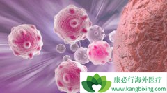 ��ϸ��������й���ô�����İ�֢���Ŵ���