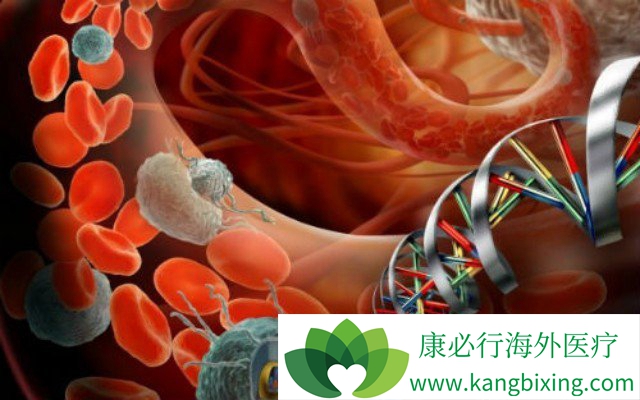 CAR-Tϸ�������Ʒ����Ƽ��ܲ�Ч��