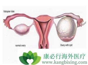 �����Ǹ�Ů���׺��Ե��ѳ���֢֢״