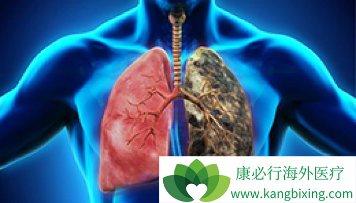 Ԥ��Сϸ���ΰ���ʳ���Զ��ˮ�����߲�