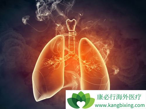 ����ΰ���չ���ΰ�����������