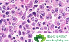 ������ҽ��������ư�Ѫ���ģ�