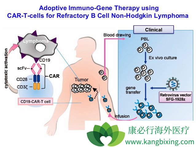 CD19��������Bϸ����������Ч����ô����