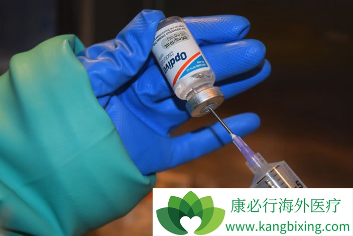 ��PD-1Ϊ�е���������Ƽ��ڶ�����������з�������Ч��