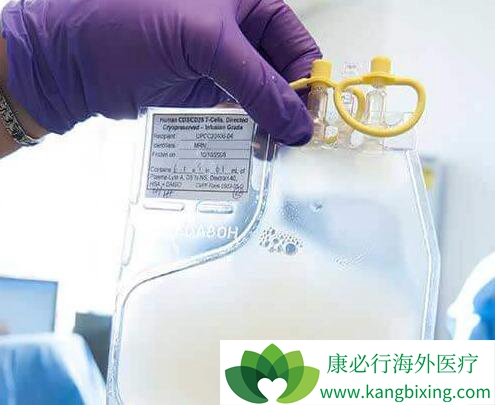 CAR-Tϸ�����Ʒ�������������޾�����