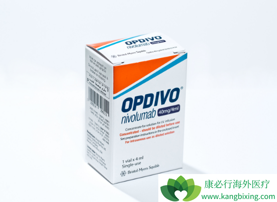 �о��������ؿ��ܻ�Ӱ��PD-1���Ƽ�������Ч��