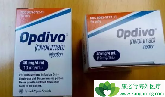 �������䵥��(opdivo)ʱӦ���˽���Щ���⣿