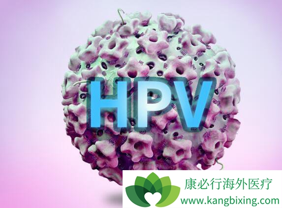 hpv������Ⱦ�������ѡ��hpv�����Ͳ�Ʒ��