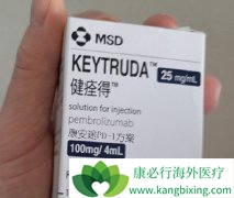 PD-1Ƽоչΰ3