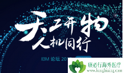 2017IBM ̳:WatsonֿɼAIǰ