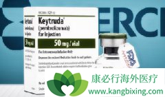 PD-1ƼKeytruda·ƤЧ