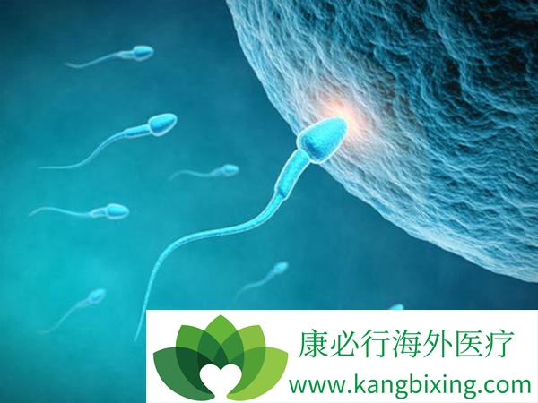 做试管婴儿是在国内做还是选择国外?