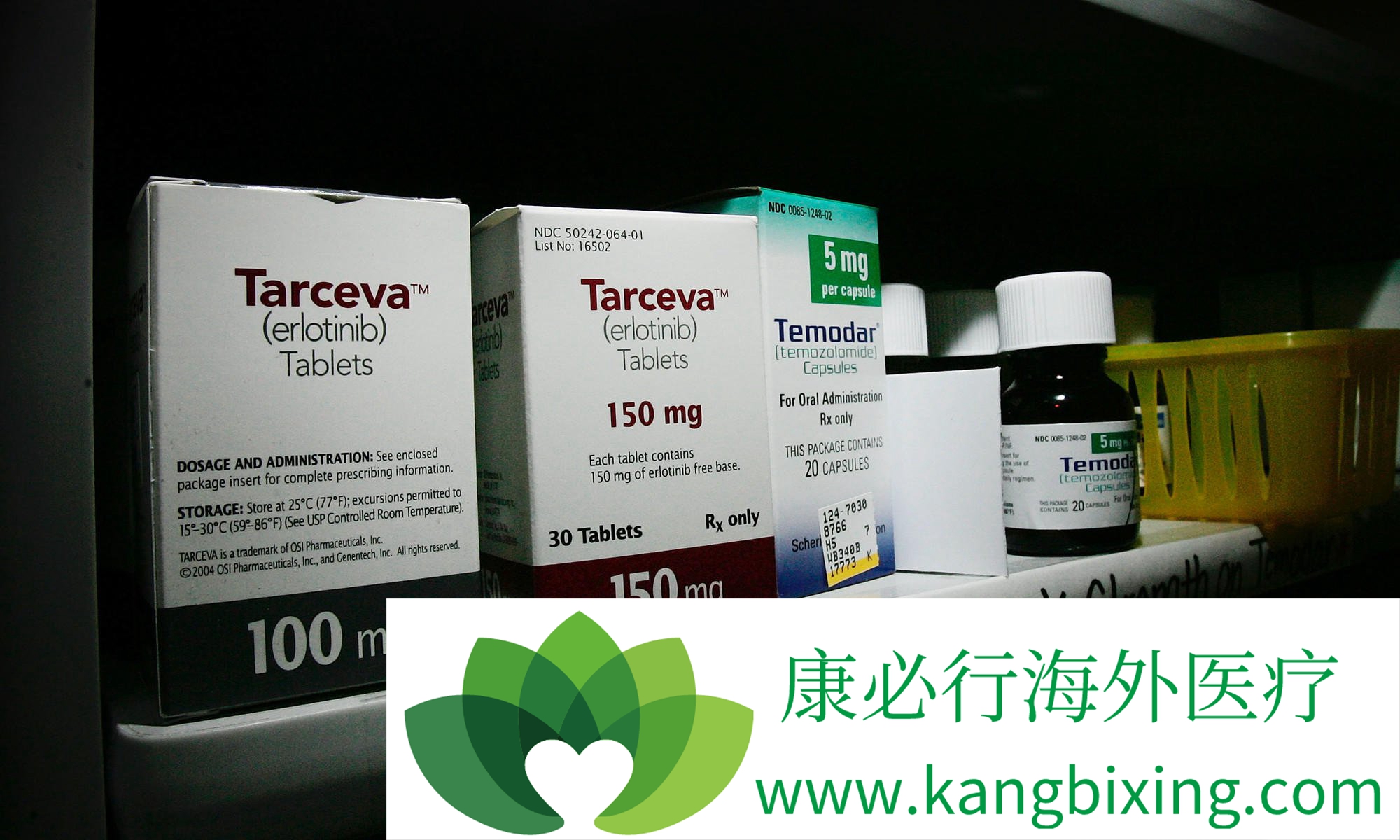 印度特罗凯厄洛替尼最全药物资料