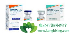 ֢ҩPD-1ƼKeytrudapembrolizumabOpdivonivolumab