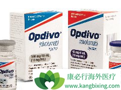 ѡPD-1ƼOpdivoYervoy