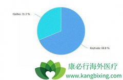 ȬƼҩӡ۰KeytrudaOpdivo