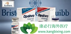 PD-1ƼOpdivoNivolumabЩڷ⣿