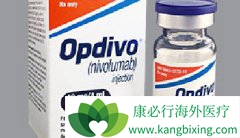 PD-1ƼOpdivoNivolumabЩӰ
