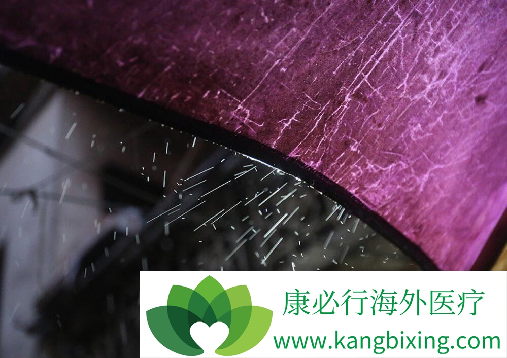 抗癌厨房