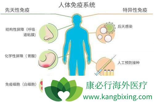 癌症治疗 免疫疗法