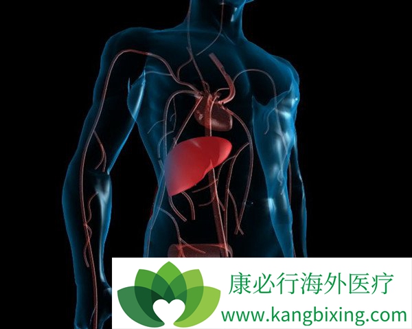 心脏支架能管几年?支架坏了要重新装吗?