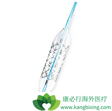 ���Ĵ�����������֧�ܹ��Ĳ�������ѡ