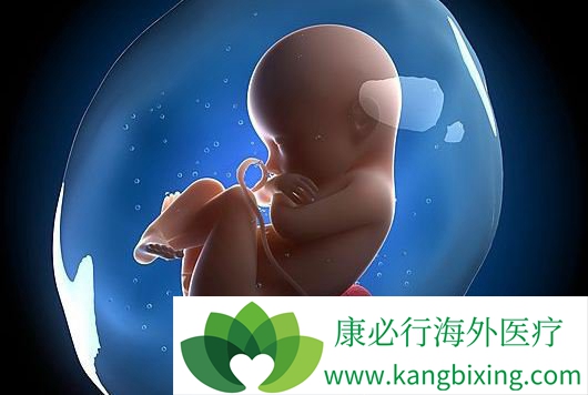 如何选择泰国试管婴儿医院和机构?