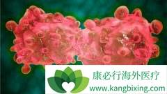 �й��о��ɹ����Ϲ��ʶ����ڿ����綾��˪�����������԰�Ѫ��