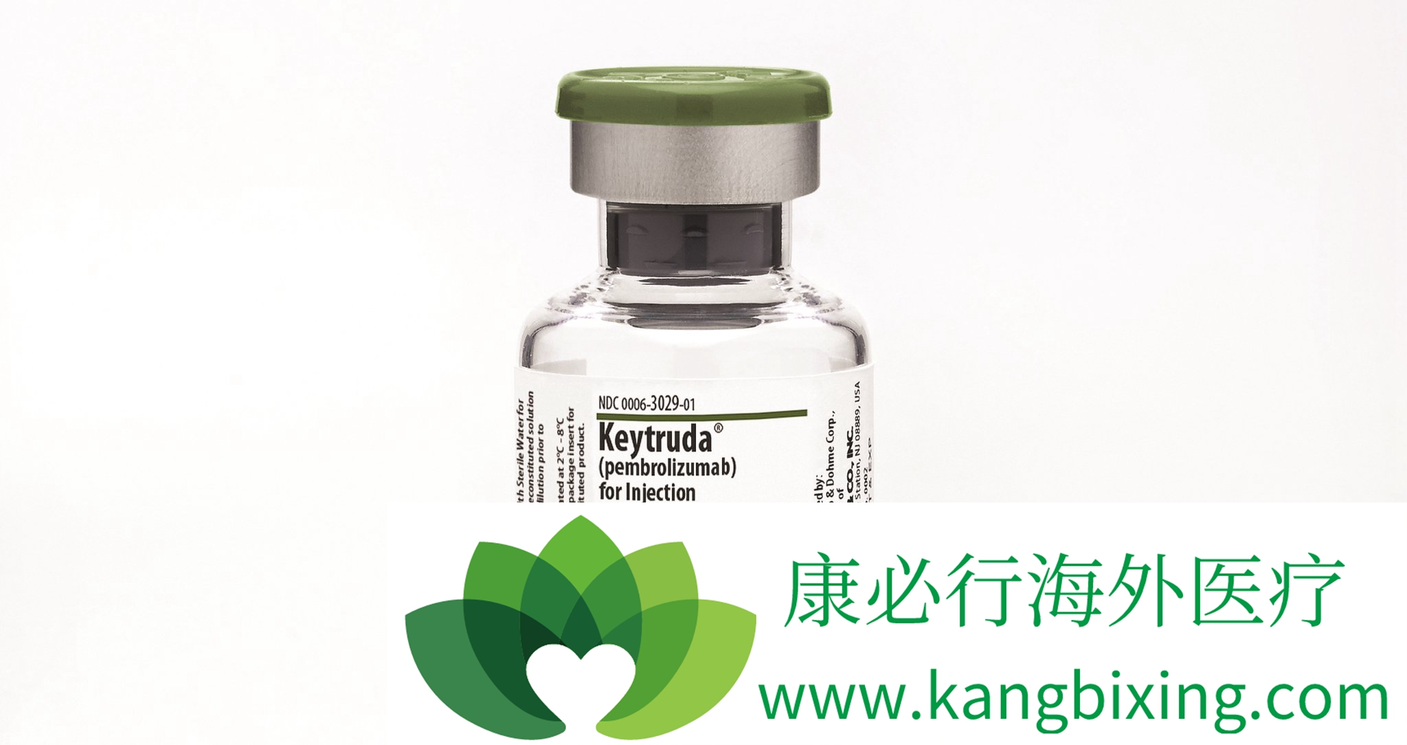 PD-1抑制剂Keytruda